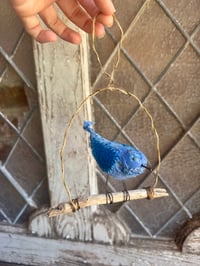 Image 2 of Swinging Bluebird