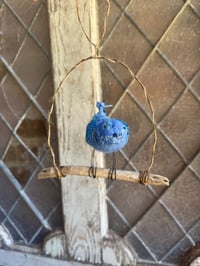 Image 4 of Swinging Bluebird