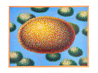 Image 1 of UAP