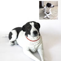 Image 2 of Custom Pet Sculpture