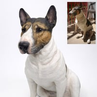 Image 3 of Custom Pet Sculpture