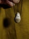 Image of Amulette soleil