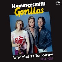Image 1 of HAMMERSMITH GORILLAS - "Why Wait 'Til Tomorrow - 1974-1981" 2xLP