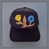 Image 1 of Navy Duo