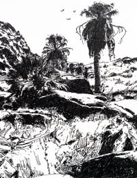 Indian Canyon