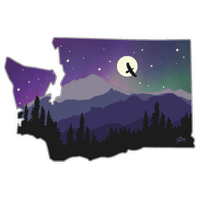 Assorted Stickers  - Product name wa state raven moon aurora