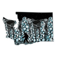 Assorted Stickers  - Product name wa state snowy trees