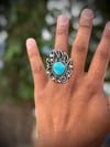 Bear claw Turquoise ring 