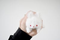 Image 5 of white bunny