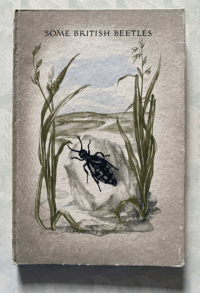 Image 1 of Some British Beetles