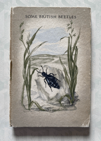 Image 7 of Some British Beetles