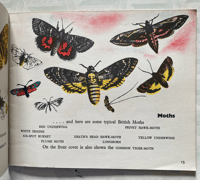 Image 3 of A book of Insects A Puffin Picture Book