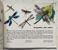 Image 4 of A book of Insects A Puffin Picture Book