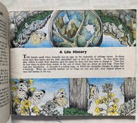 Image 2 of A book of Insects A Puffin Picture Book