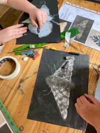 Image 2 of ART CLASS FOR KIDS ~ Draw butterflies and Bugs ~ 12th August '26 1-3pm