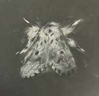 Image 3 of ART CLASS FOR KIDS ~ Draw butterflies and Bugs ~ 12th August '26 1-3pm