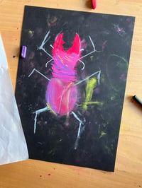 Image 4 of ART CLASS FOR KIDS ~ Draw butterflies and Bugs ~ 12th August '26 1-3pm
