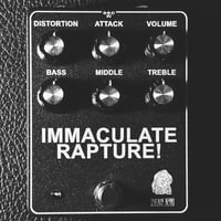 IMMACULATE RAPTURE!<BR>WORLD PEACE<BR>BASS DISTORTION