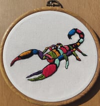 Image 1 of Scorpion multicolore