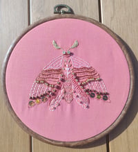 Image 2 of Papillon de nuit corail