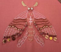 Image 4 of Papillon de nuit corail