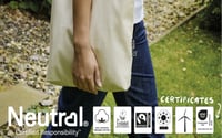 Image 3 of PRESALE-SERVING PUNT TOTEBAG- PRIDE/SUMMER 2026 COLLECTION