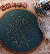Image 1 of Monstera