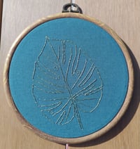 Image 3 of Monstera