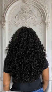 Mongolian Curly 1B