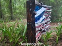 # 743 MEDIUM BATTLE FLAG
