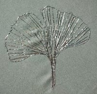 Image 1 of Ginkgo