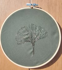 Image 2 of Ginkgo