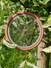 Image 2 of Pissenlit 1
