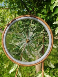 Image 1 of Pissenlit 3