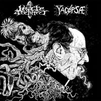Yacopsae / Irate Architect - Split 10''