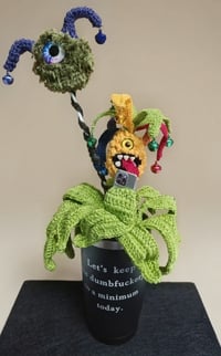 ​Ziggy the Zesty Jester
