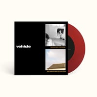 Vehicle - You Are Not A Cowboy / My Future Wife (I Love You)