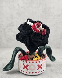  The Cupid-Catcher