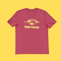 Image 1 of Visit Cavan