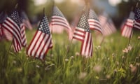 Memorial Day Sale 