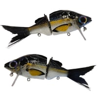 Image 1 of Lipped GWP (THREADFIN)