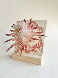 Image 2 of Epiphyllum Oxypetalum (Queen of the Night) Hair Ornament 
