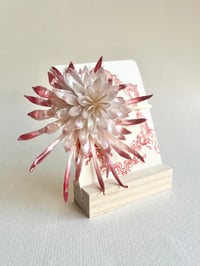 Image 3 of Epiphyllum Oxypetalum (Queen of the Night) Hair Ornament 