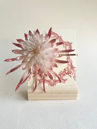 Image 1 of Epiphyllum Oxypetalum (Queen of the Night) Hair Ornament 