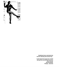 Image 2 of Stationery Poems 