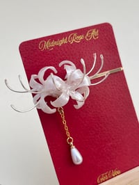 Image 2 of Spiderlily Pearl White