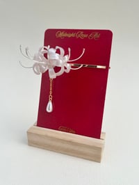 Image 3 of Spiderlily Pearl White