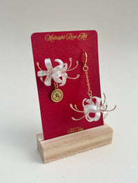Image 3 of Spiderlily Pearl White II