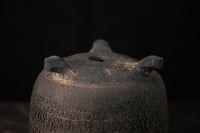 Image 5 of Crackle Pot | 01