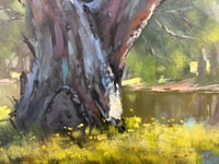 Image 4 of Gum At Putta Bucca
